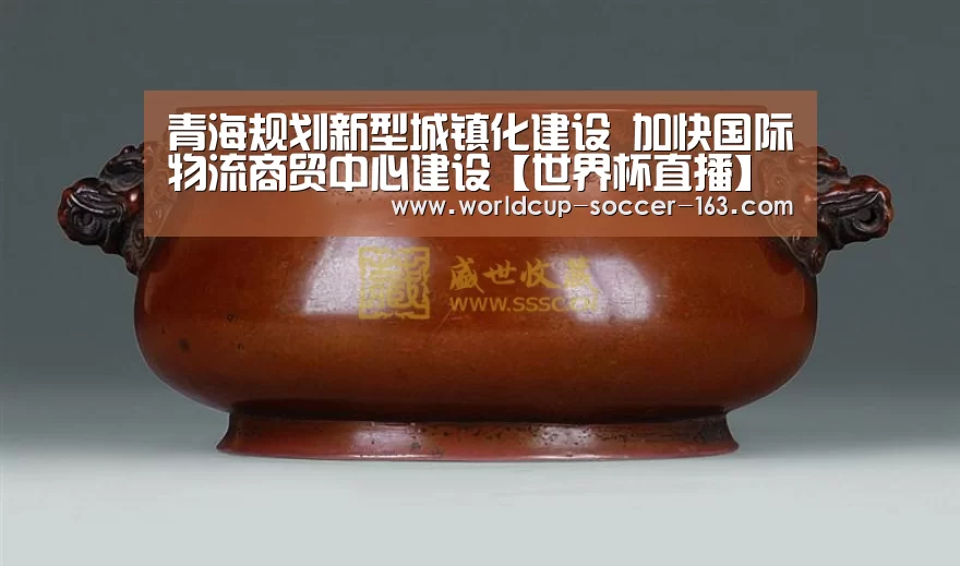 青海规划新型城镇化建设 加快国际物流商贸中心建设【世界杯直播】(图3) 世界杯直播