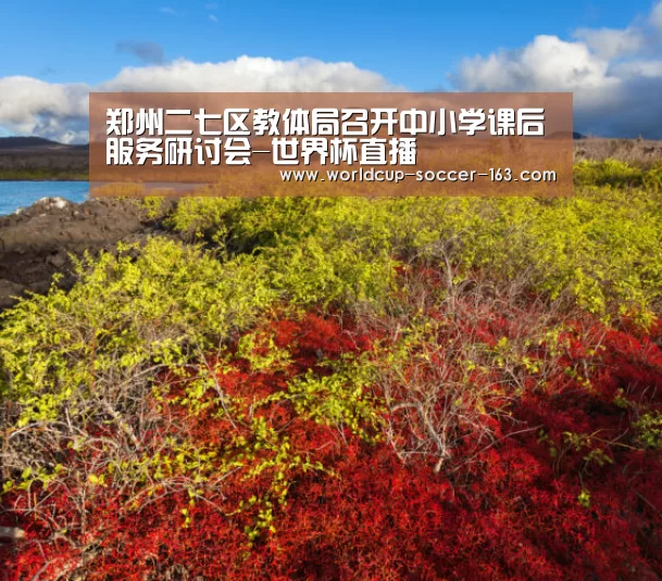 世界杯直播