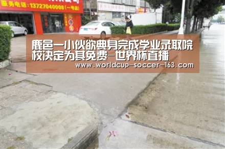 世界杯直播